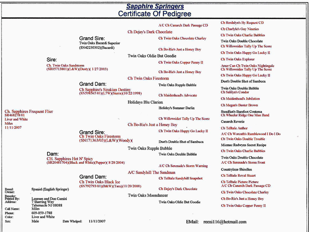 Blank Pedigree Chart For Horses